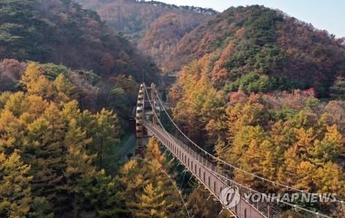 증평군 좌구산 휴양림 구름다리