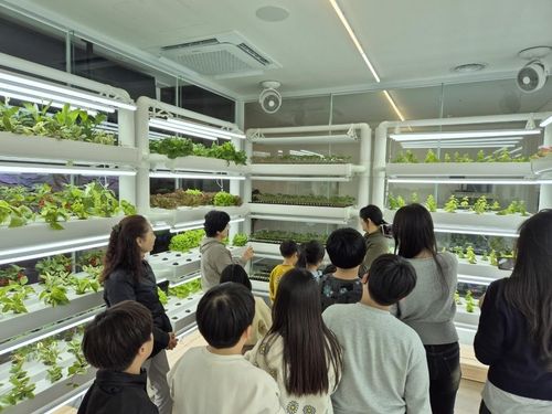 "도서관에서 미래농업 배워요"…은평구 '스마트팜' 개장 - 1