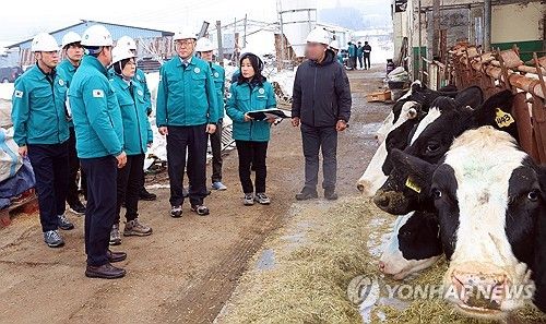 폭설 피해 현장 찾은 이한경 재난안전관리본부장