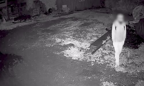 케이블 선 훔쳐 가방에 넣고 나오는 피의자