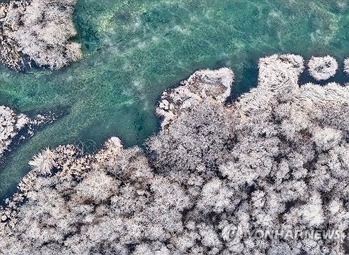 아침 추위가 빚은 풍경