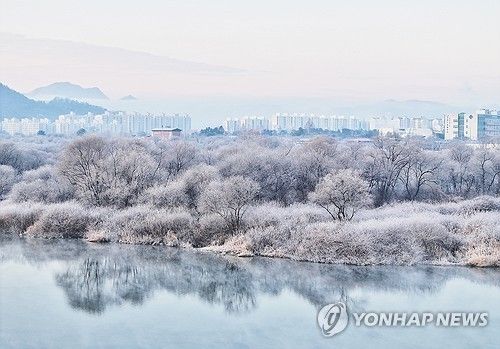 소양강 상고대 활짝