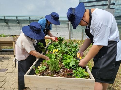 국립정신건강센터 치유농업 프로그램