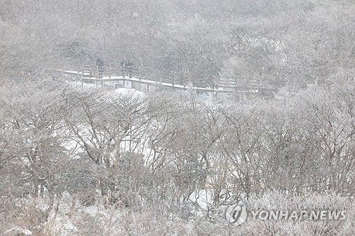 겨울왕국 한라산