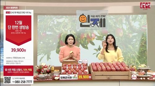 인제 사과 공영홈쇼핑 판매 모습