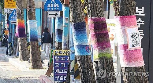 겨울나무 패션쇼