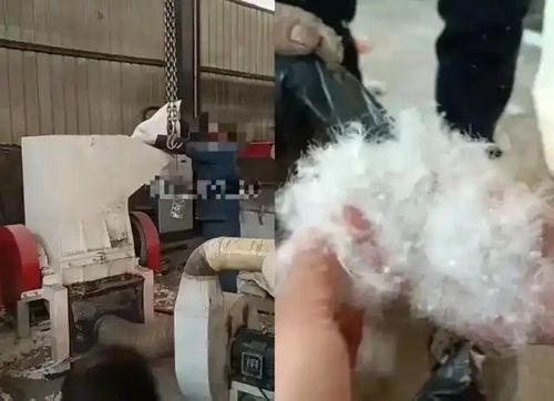 다운재킷 충전재용 재활용 셔틀콕