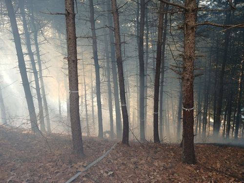 파주 야산 산불