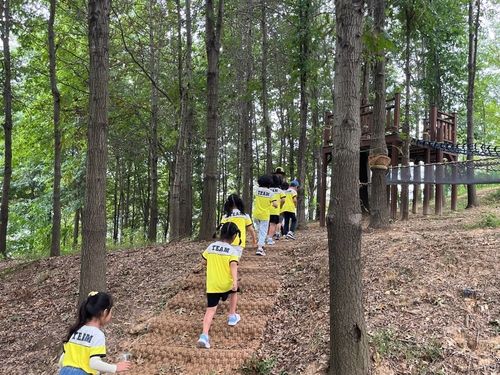 유아숲 체험 프로그램