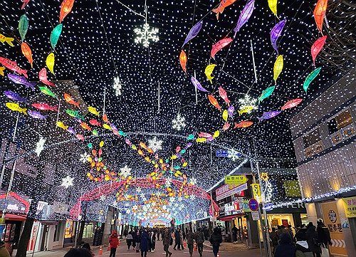 2024 화천산천어축제 앞두고 선등거리 점등