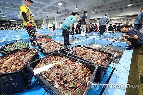 가을 꽃게 경매 인천수협 위판장