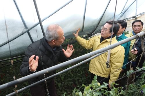 김동연 지사, 평택 폭설피해 비닐하우스 현장 방문