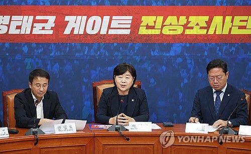 민주당 '명태균 게이트 진상조사단' 첫 회의