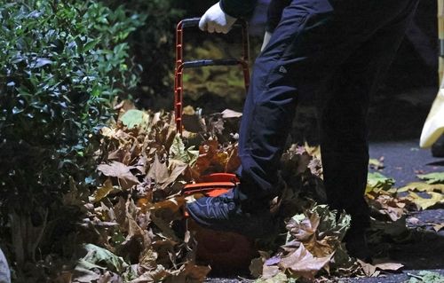 쓰레받기로 낙엽 담는 모습 
