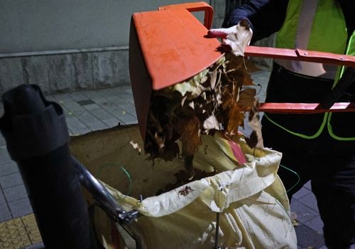 마대에 낙엽 버리는 김씨