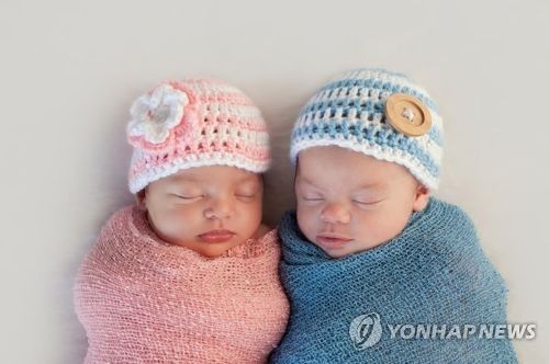 쌍둥이