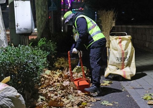 낙엽 쓰는 환경공무직 근로자 김건이(32)씨