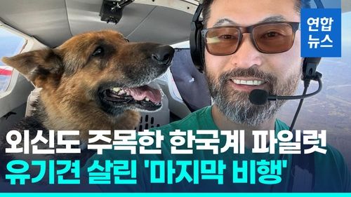 [영상] 한국계 파일럿, 구조비행 중 추락사…유기견 2마리는 극적 생존 - 2