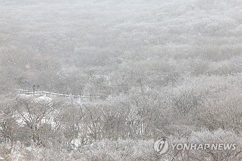 겨울왕국 한라산