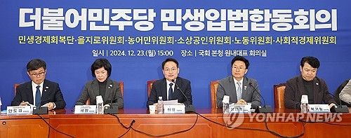 민생입법합동회의에서 발언하는 허영 민생경제회복단장