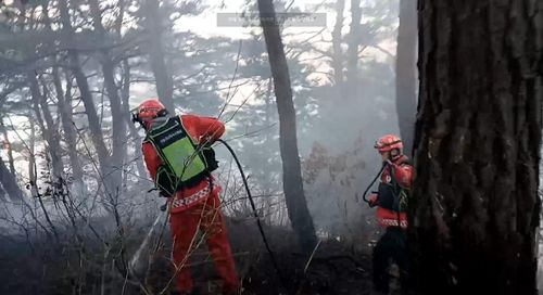 강원 고성 거진읍 초계리 산불