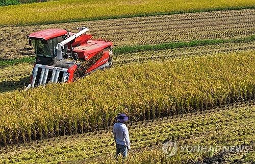 추수하는 농민들