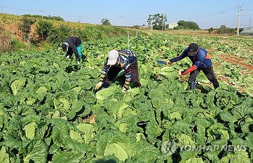[연합뉴스 자료사진]