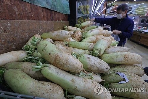 '올해 무는 어떤가요?'