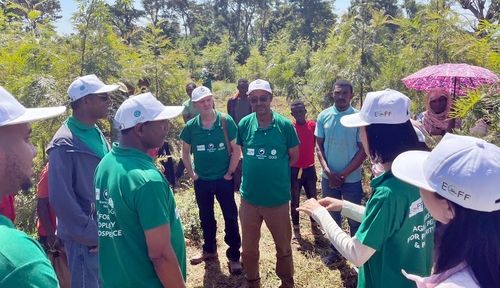 에티오피아 하와사지역 커피나무 혼농임업 복원사업지 점검 장면