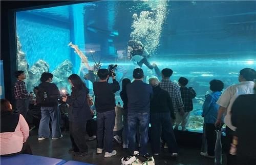 아쿠아리움 수중공연