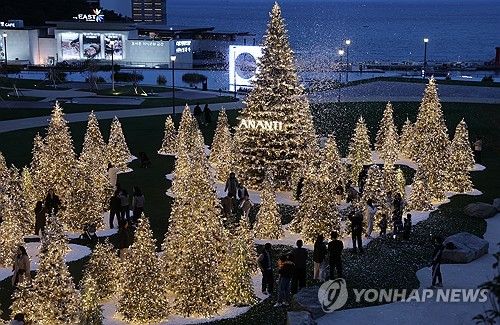 부산 기장군 '화이트 크리스마스 마을' 트리