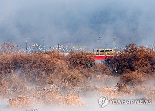 추위가 빚어낸 풍경