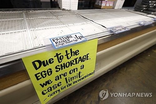 미국에서 조류인플루엔자 여파로 계란 품귀 사태가 빚어지면서 지난 19일(현지시간) 캘리포니아 식료품 매장의 계란 진열대가 비어있는 모습