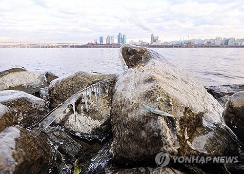 맹추위에 얼어붙은 한강변