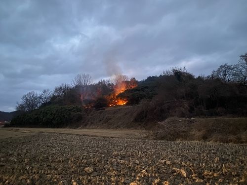 전남 나주시 야산서 산불