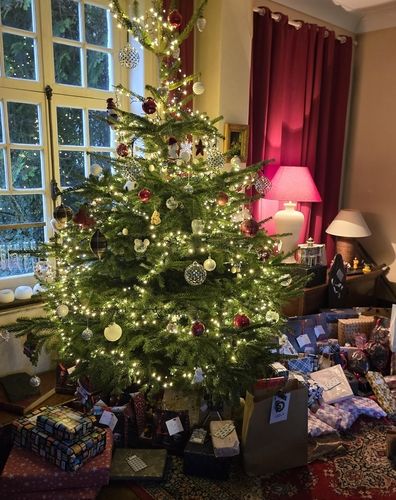 크리스마스트리 아래 놓인 선물들.