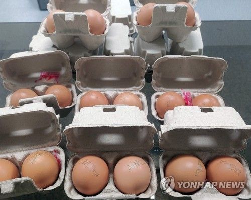 제주 애월아빠들 생산 계란