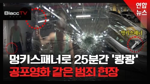 [BlaccTV] 25분간 한 맺힌 듯 남의 차 박살 낸 남성…왜? - 2