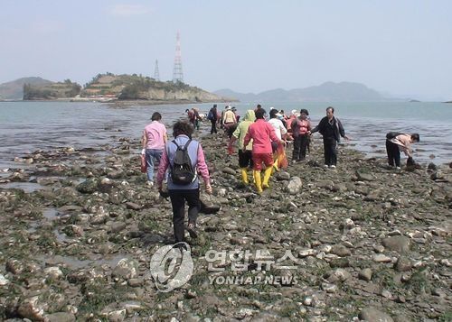 바다 갈라짐 현상