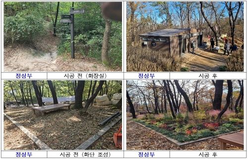 초안산 정상부 정비 전후 모습