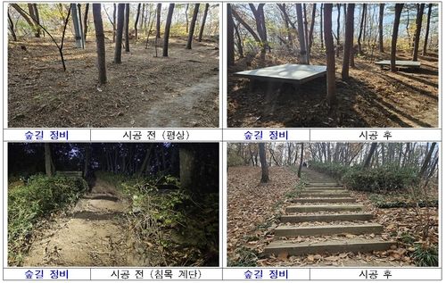 초안산 등산로 정비 전후 모습