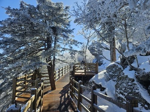 발왕산 무장애 나눔길