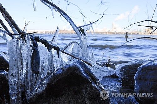 강변에 생긴 고드름