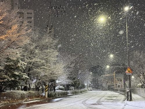 광주·전남 북부 밤사이 많은 눈