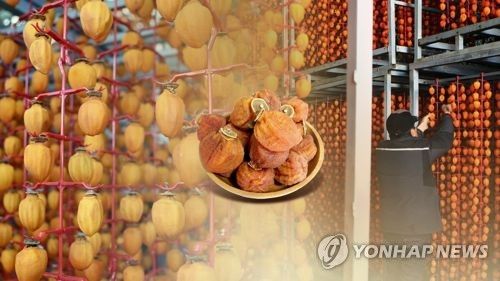 '임금님도 반한 맛'…겨울철 별미 함안곶감 출하 (CG)