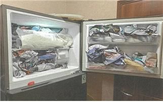 냉동고에 넣어둔 강아지 사체