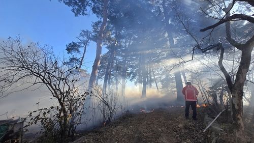 강릉선교장 인근 산불