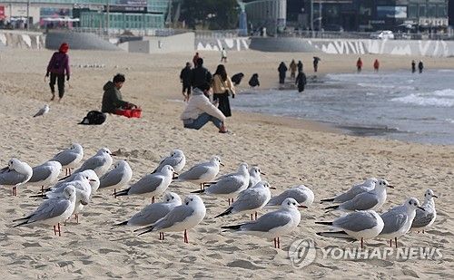 포근한 날, 햇볕 쬐기