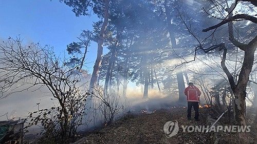 강릉 선교장 인근서 산불