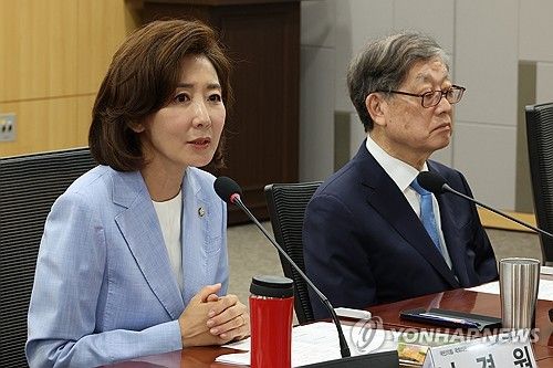 국민의힘 나경원 의원